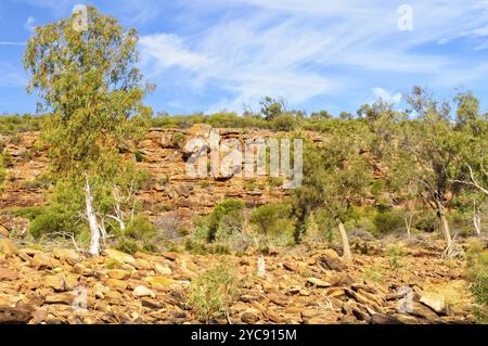 Die Murchison Gorge ist eine alte Flussschlucht im mittleren Westen Australiens, Kalbarri, WA, Australien, Ozeanien Stockfoto