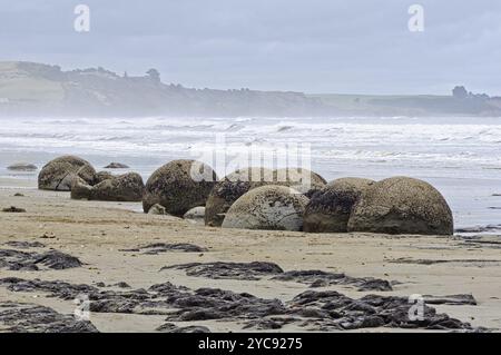 Moeraki Boulders sind große, kugelige Felsbrocken liegt am Koekohe Strand von Moeraki auf der Südinsel Neuseelands Stockfoto