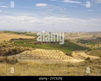 Annäherung an die Grenze von Navarra und La Rioja, Viana, Navarra Spanien Stockfoto