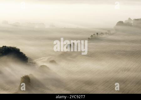 Morgen Nebel mit Sonnenstrahlen über dem Feld Stockfoto