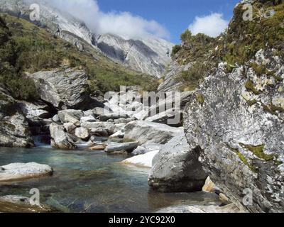 Der schneegespeiste Bach verläuft durch die Alpengipfel der Südalpen, Westland, Neuseeland, Ozeanien Stockfoto