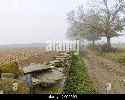 Pilger spazieren entlang einer Trockenmauer im Morgennebel, San XIL, Galicien, Spanien, Europa Stockfoto