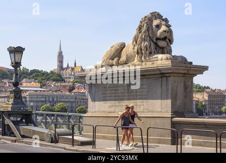 Einer der vier Schutzlöwen der Szechenyi Kettenbrücke in Budapest, Ungarn, Europa Stockfoto