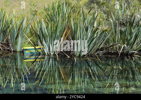 Mirror Lake in der Nähe von Te Anau auf der Südinsel Neuseelands Stockfoto