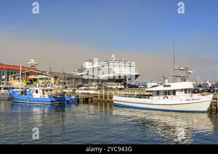 Fischerboote und das Kreuzfahrtschiff MS Oosterdam im Hafen von Hobart, Tasmanien, Australien, Ozeanien Stockfoto