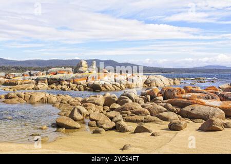 Granitblöcke mit orangefarbenen Flechten, Binalong Bay, Tasmanien, Australien, Ozeanien Stockfoto