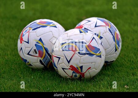 Offizielle Bälle Seie A 2024 - 2025 während des Spiels US Lecce vs ACF Fiorentina, italienische Fußball Serie A in Lecce, Italien, 20. Oktober 2024 Stockfoto