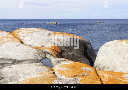 Orangene Flechtenbedeckte Granitblöcke in Bay of Fires, The Gardens, Tasmania, Australien, Ozeanien Stockfoto