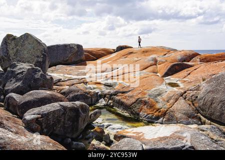 A tourist admires the view from the top of orange lichen-covered granite boulders in Bay of Fires, The Gardens, Tasmania, Australia, Oceania Stockfoto