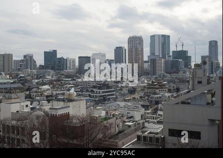 31. Dezember 2017, Tokio, Japan, Asien, Ein Blick vom Tokyu Plaza Omotesando in Harajuku auf das Stadtpanorama der japanischen Hauptstadt Tokio, Asien Stockfoto