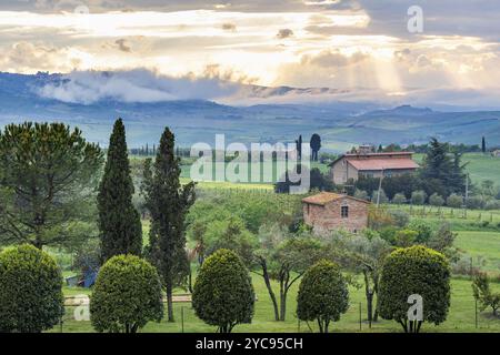 Baum in einer Zeile in einem Sonnenuntergang mit Wolken in den Bergen Stockfoto