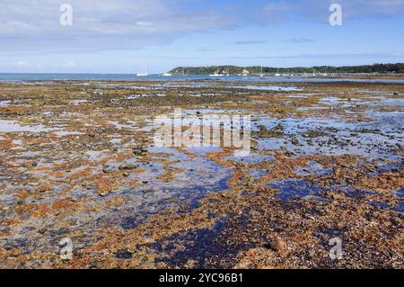 Ebbe am Dodds Creek Beach, Flinders, Victoria, Australien, Ozeanien Stockfoto