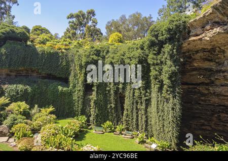 Der Sunken Garden wurde vor mehr als einem Jahrhundert im Umpherston Sinkhole, Mount Gambier, SA, Australien, Ozeanien gebaut Stockfoto