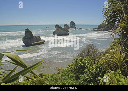 Einheimischer Busch umrahmt einen Strand bei Ebbe an einem Westküstenstrand, Südinsel, Neuseeland, Ozeanien Stockfoto