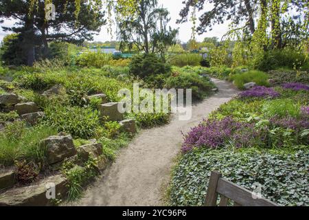 Steine und beeindruckende Pflanzen für schöne Landschaft, idyllischer Frühling im Garten bei Karl Foerster Haus in Potsdam Stockfoto
