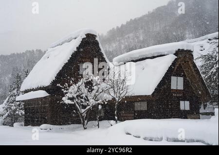 Dezember 2017, Shirakawa-go, Präfektur Gifu, Chubu, Japan, Asien, traditionelle Gassho-zukuri Bauernhäuser im Dorf Shirakawa-Go, Asien Stockfoto