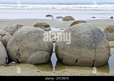 Moeraki Boulders sind große, kugelige Felsbrocken liegt am Koekohe Strand von Moeraki auf der Südinsel Neuseelands Stockfoto