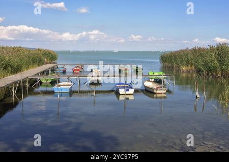 Kleine Fischerboote, die mit dem Pier zwischen Schilf am Balaton in Tihany, Ungarn, Europa verbunden sind Stockfoto