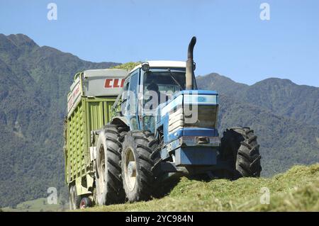 Greymouth, Neuseeland um 2008: Traktor sammelt gemähte Weiden in Silagewagen, Westküste, Südinsel, Neuseeland, Ozeanien Stockfoto