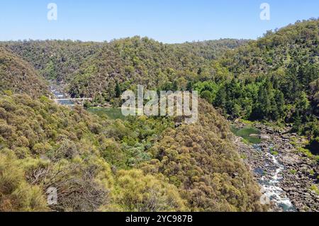 Das Cataract Gorge Reserve ist ein kleines Stück Wildnis, nur 15 Minuten zu Fuß vom Stadtzentrum, Launceston, Tasmanien, Australien und Ozeanien entfernt Stockfoto