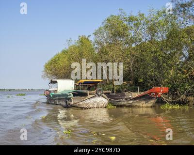 Traditionelle Mekong Delta Frachtschiffe, Vinh Long, Vietnam, Asien Stockfoto