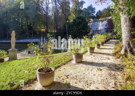 Fantastischer Herbst im Saint-Cloud Park in Paris. Teich, Statuen und gelbe und orangene Blätter von Bäumen. Topfpflanzen! Schöner sonniger Tag in der französischen Hauptstadt! Stockfoto