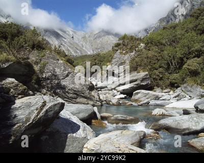 Der schneegespeiste Bach verläuft durch die Alpengipfel der Südalpen, Westland, Neuseeland, Ozeanien Stockfoto