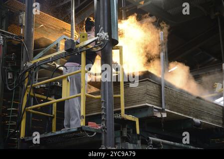 GREYMOUTH, NEUSEELAND, 22. MAI 2015: Arbeiter stapeln am 22. Mai 2015 in der Nähe von Greymouth, Neuseeland, Ozeanien, frisch gefertigte, ungetrimmte Sperrholzplatten Stockfoto