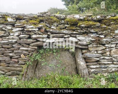 Moosbedeckte alte Trockenmauer, Mercadoiro, Galicien, Spanien, Europa Stockfoto