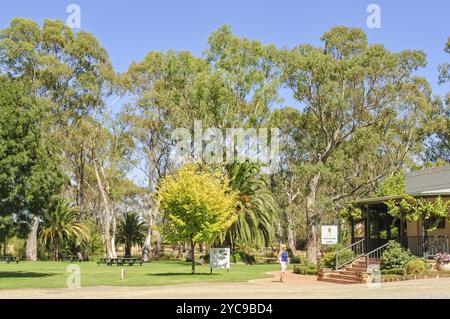 Peter Lehmann Weine im Barossa Valley, Tanunda, SA, Australien, Ozeanien Stockfoto