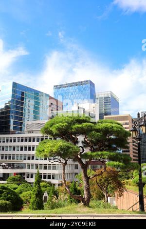 Moderne Gebäude in der Gegend von Myeongdong, Seoul, Südkorea. Wunderschöne Landschaft mit Kiefern und Wolkenkratzern, Myeong Dong Viertel, Seoul, Republi Stockfoto