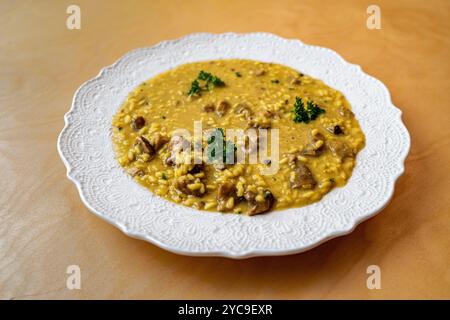 Voller Teller mit authentischem italienischem Pilzrisotto, serviert auf kunstvoll verziertem weißem Porzellan. Hausgemachtes cremiges Reisgericht mit Pilzen und Petersilie. Einfacher ELEGAN Stockfoto