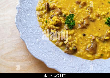 Detaillierte Ansicht des hausgemachten Pilzrisottos auf dekorativer weißer Platte. Traditionelles italienisches Reisgericht mit cremiger Textur und frischen Kräutern. Elegantes Essen Stockfoto