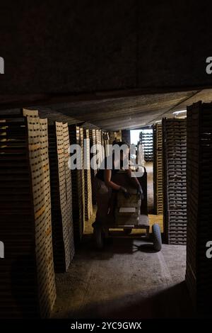 Soulaines-Dhuys (Nordostfrankreich): Arbeit mit Ton in der Royer Töpferei und Fliesenfabrik nach traditionellen Techniken für 6 Generationen, maki Stockfoto