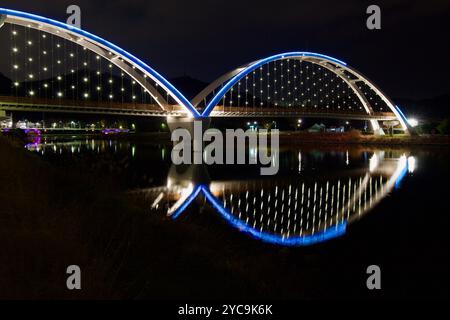 Ulsan, Südkorea - 12. Dezember 2019: Die beleuchtete Simnidaebat Bridge leuchtet hell über dem Taehwa River und spiegelt sich wunderschön auf dem Wasser Stockfoto
