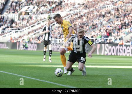 Joël Veltman of Brighton & Hove Albion Tackles Lewis Hall of Newcastle United - Newcastle United / Brighton & Hove Albion, Premier League, St James' Park, Newcastle upon Tyne, Großbritannien - 19. Oktober 2024 nur redaktionelle Verwendung - DataCo-Einschränkungen gelten Stockfoto