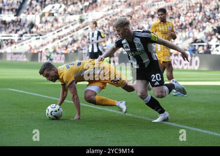 Lewis Hall of Newcastle United Battles Joël Veltman of Brighton & Hove Albion - Newcastle United gegen Brighton & Hove Albion, Premier League, St James' Park, Newcastle upon Tyne, Großbritannien - 19. Oktober 2024 nur redaktionelle Verwendung - DataCo-Einschränkungen gelten Stockfoto
