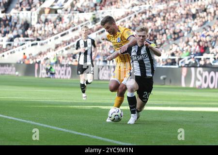 Joël Veltman of Brighton & Hove Albion Tackles Lewis Hall of Newcastle United - Newcastle United / Brighton & Hove Albion, Premier League, St James' Park, Newcastle upon Tyne, Großbritannien - 19. Oktober 2024 nur redaktionelle Verwendung - DataCo-Einschränkungen gelten Stockfoto
