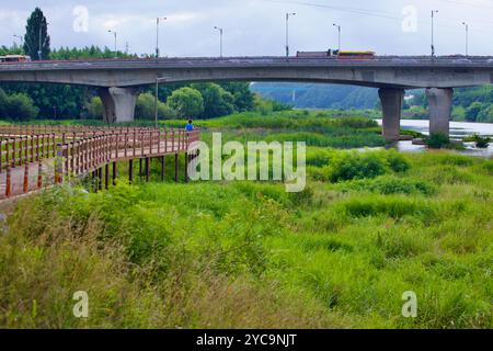 Ulsan, Südkorea - 9. Juli 2019: Eine hölzerne Wanderbrücke erstreckt sich über das üppige Sumpfland entlang des Taehwa River, mit einer Straßenbrücke im Hintergras Stockfoto