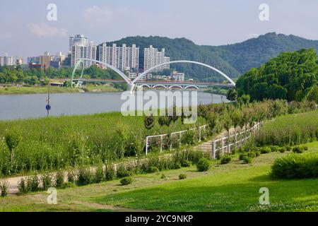 Ulsan, Südkorea - 9. Juli 2019: Die Simnidaebat Bridge verläuft anmutig über den Taehwa River und verbindet sich mit dem üppigen Grün des Taehwa River Natio Stockfoto