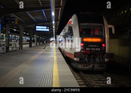 Polen, Posen, Großpolen, 10. November 2023. Posen Hauptbahnhof. Trainiere auf dem Bahnsteig. Stockfoto