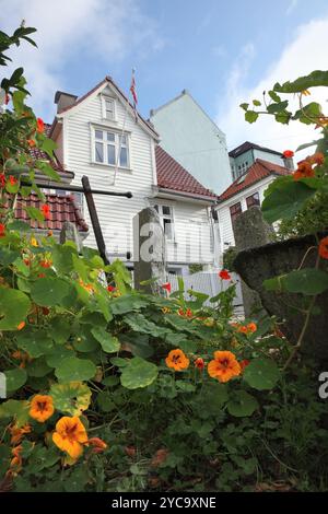Traditionelle alte Holzhäuser, Strangebakken, Bergen, Norwegen. Stockfoto