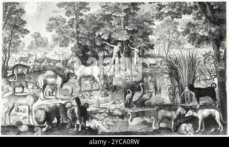 Adam und Eva im Paradies - Nicolaes de Bruyn 1631 (1571–1656) - farbkorrigiert Stockfoto