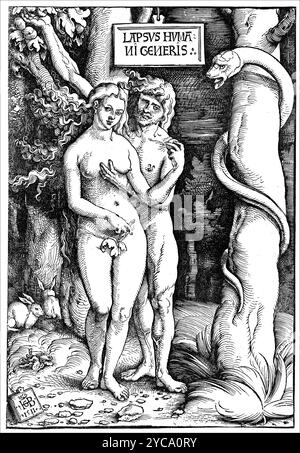 Adam und Eva, Druck, Hans Baldung (genannt Hans Baldung Grien -1545) Holzschnitt, Linienblock 1511 - farbkorrigiert Stockfoto