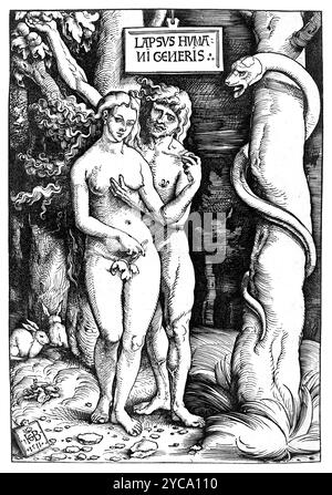 Hans Baldung Grien, Adam und Eva, 1511 - farbkorrigiert Stockfoto