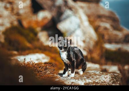Reisen Sie in Portugal Stockfoto
