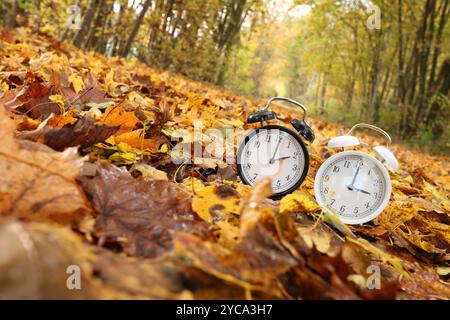 Zwei Wecker stehen im Herbstlaub. Ein Wecker zeigt drei Uhr, der andere zwei Uhr. Die Uhren werden auf Winterzeit umgestellt. In der Nacht, am 27.10.2024 werden die Uhren von 03:00 Uhr auf 02,00 Uhr zurueckgestellt zurückgestellt. Symbolbild zum Thema, Winterzeit, Zeitumstellung, Uhrenumstellung am 22.10.2024 in Niederfischbach/Deutschland. *** Zwei Wecker stehen im Herbstlaub ein Wecker zeigt drei Uhr, die anderen zwei Uhr die Uhr wird nachts auf Winterzeit umgestellt, am 27 10 2024 werden die Uhren von 03 00 auf 02 00 zurückgestellt symbolisches Bild zum Thema wint Stockfoto