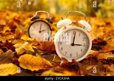 Zwei Wecker stehen im Herbstlaub. Ein Wecker zeigt drei Uhr, der andere zwei Uhr. Die Uhren werden auf Winterzeit umgestellt. In der Nacht, am 27.10.2024 werden die Uhren von 03:00 Uhr auf 02,00 Uhr zurueckgestellt zurückgestellt. Symbolbild zum Thema, Winterzeit, Zeitumstellung, Uhrenumstellung am 22.10.2024 in Niederfischbach/Deutschland. *** Zwei Wecker stehen im Herbstlaub ein Wecker zeigt drei Uhr, die anderen zwei Uhr die Uhr wird nachts auf Winterzeit umgestellt, am 27 10 2024 werden die Uhren von 03 00 auf 02 00 zurückgestellt symbolisches Bild zum Thema wint Stockfoto