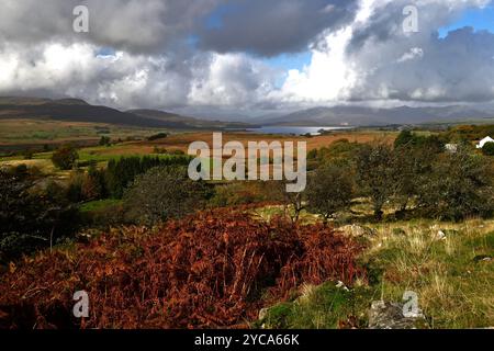 Llyn Trawsfynydd (Trawsfynydd Lake) und Dorf im Eryri-Nationalpark mit den Moelwyn Mountains, Gwynedd Wales, Großbritannien Stockfoto