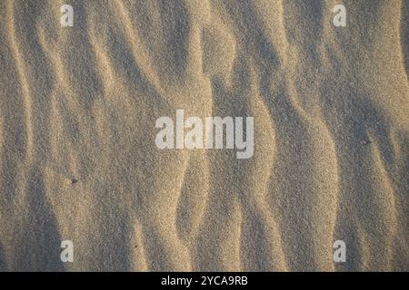 Eine Nahaufnahme von gewellten Sanddünen, mit der Sonne, die lange Schatten wirft Stockfoto